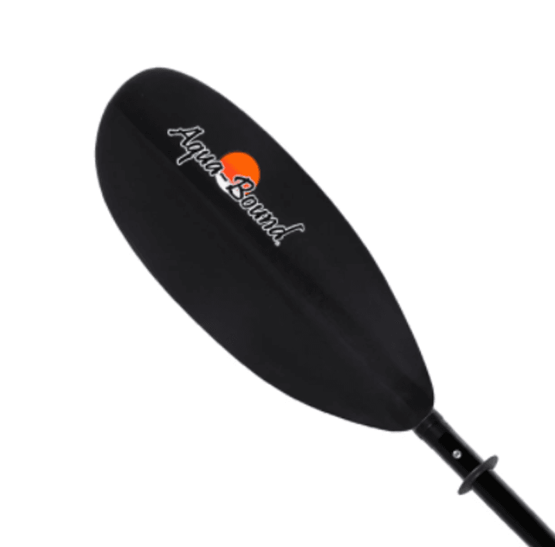 Aqua-Bound Manta Ray 